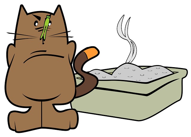 cat litter